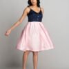 PINK & BLUE BUTTERFLY DRESS