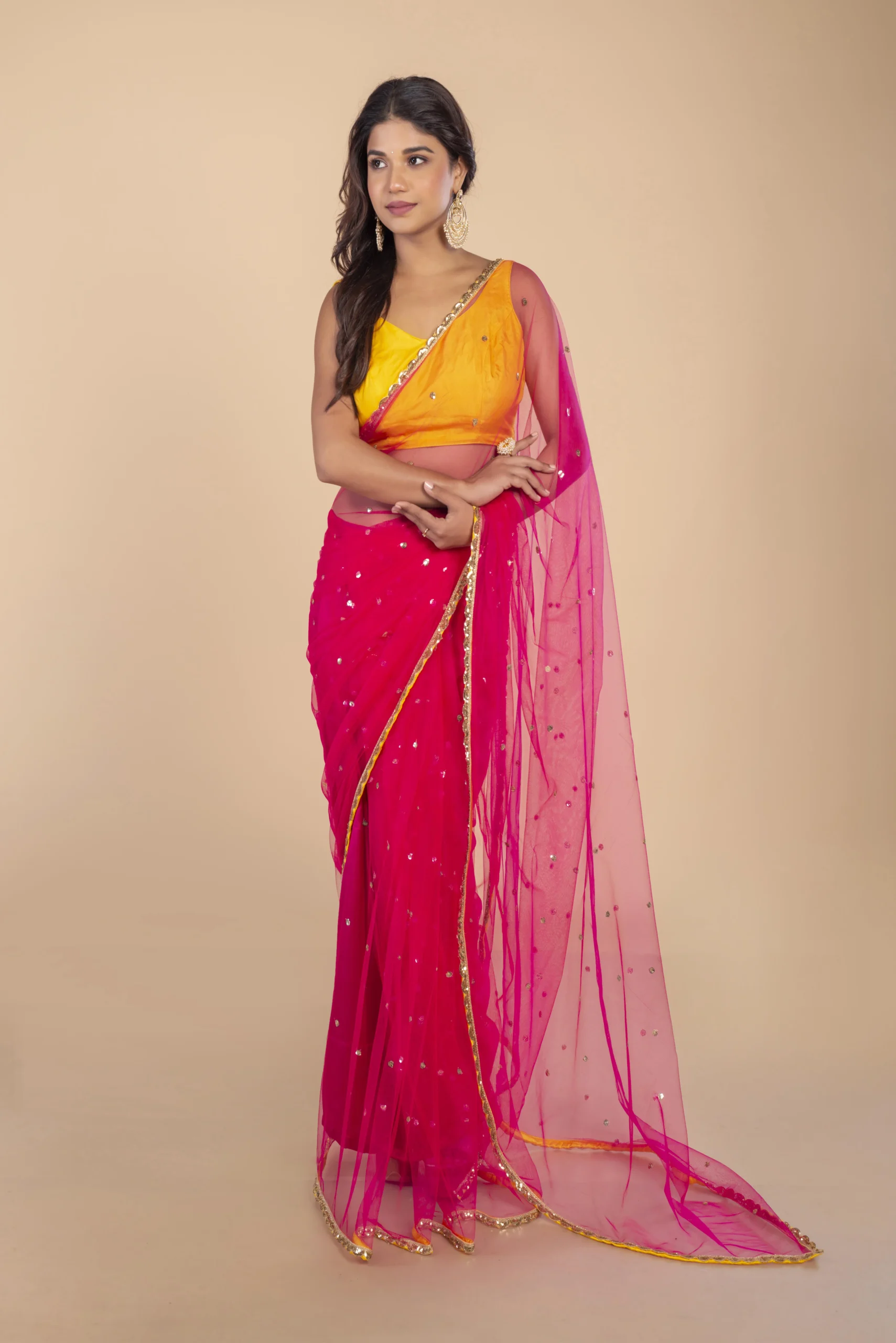Pink Gold Butte Net saree With Gold sequin Border - Image 3